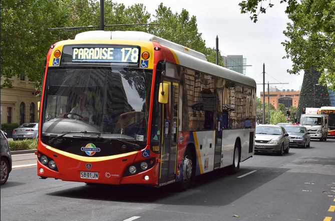 Bus To Paradise