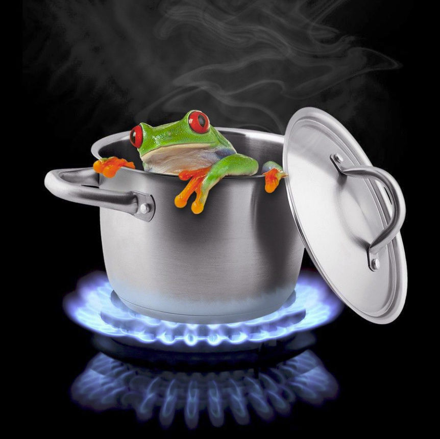 Frog Soup