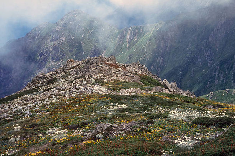 Mount Kosciuoszko