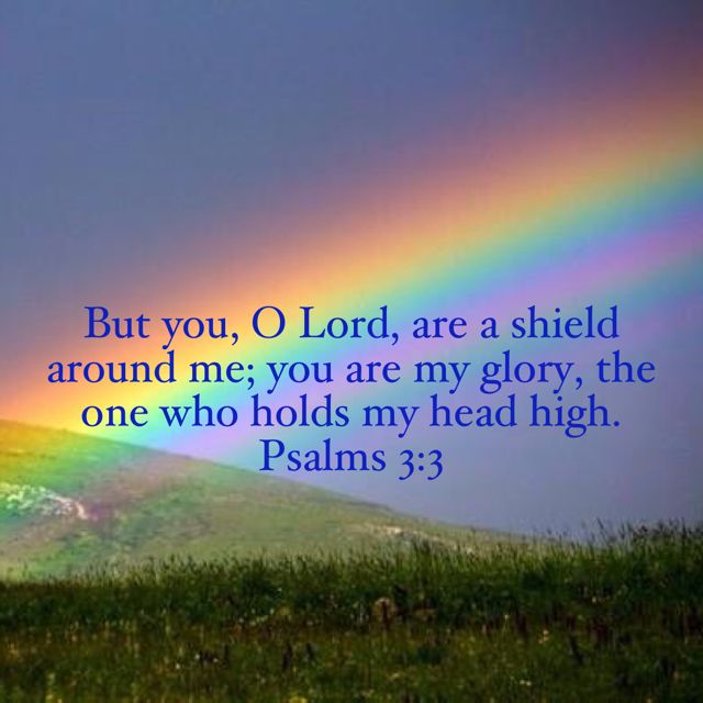 Psalm 3:3