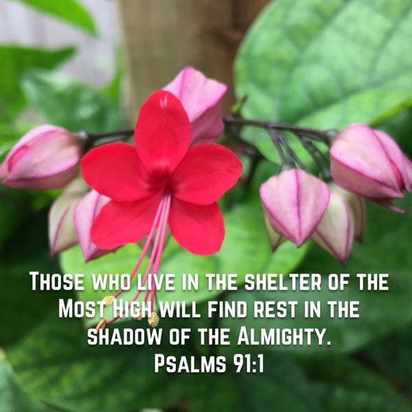 Psalm 91:1