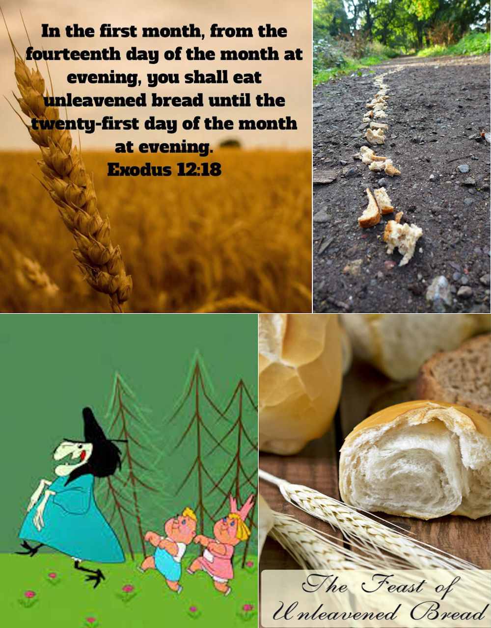 Unleavened Bread Collage