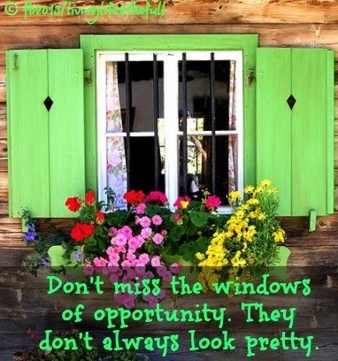 Windows of Opportunity