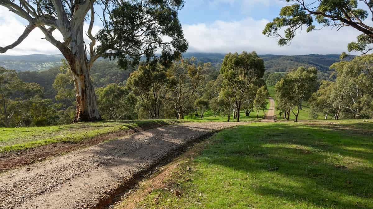 Scenic Country Road